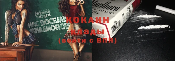 ПСИЛОЦИБИНОВЫЕ ГРИБЫ Лихославль