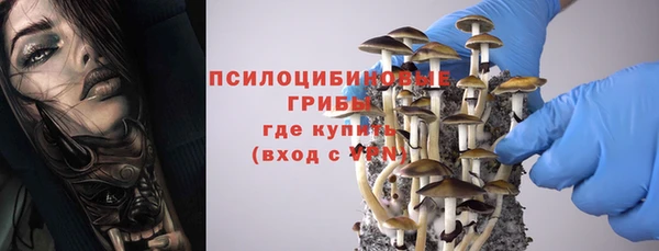 ПСИЛОЦИБИНОВЫЕ ГРИБЫ Лихославль