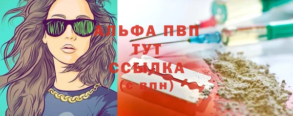 ПСИЛОЦИБИНОВЫЕ ГРИБЫ Лихославль