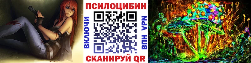 Купить где  Магас  Галлюциногенные грибы GOLDEN TEACHER 